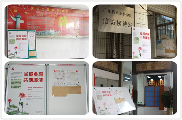 院紀(jì)委開展“舉報貪腐?共創(chuàng)廉潔”宣傳活動