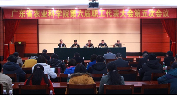 我院召開第六屆職工代表大會(huì)第五次會(huì)議
