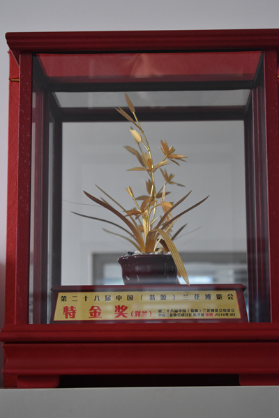 圖片說(shuō)明