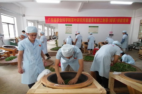 茶葉所成功舉辦首屆青年職工制茶（綠茶）技能競賽