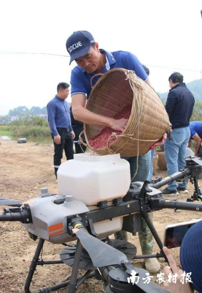 工人在臺山市北陡鎮(zhèn)沙頭沖村直播田間操作。