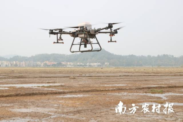 無人機(jī)直播水稻生產(chǎn)技術(shù)，操作簡便，降本增效，適合水稻機(jī)械化生產(chǎn)。