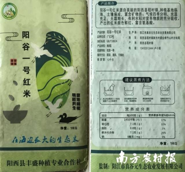 陽谷一號紅米。