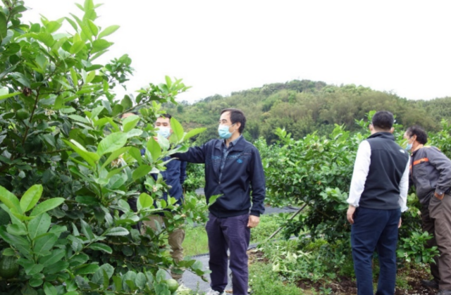 專家田間技術(shù)指導(dǎo)。