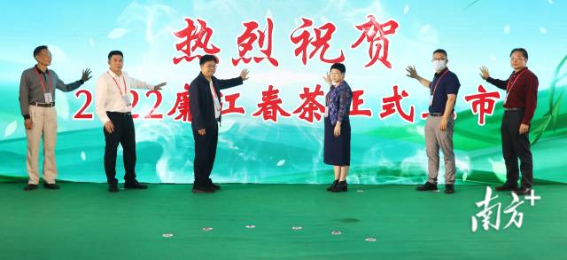 廉江春茶上市啟動(dòng)。