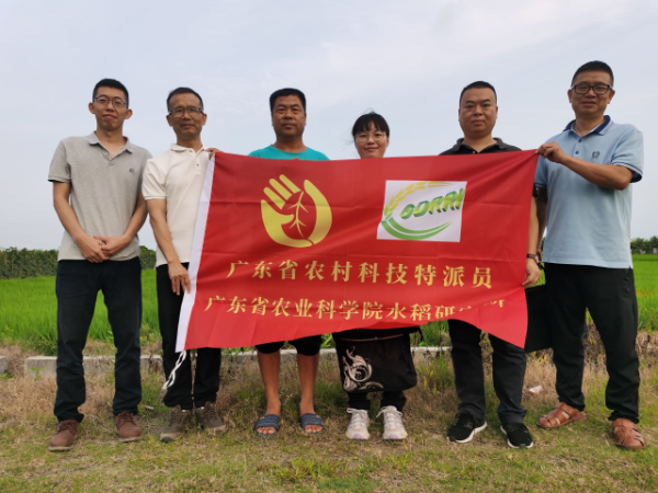 駐鎮(zhèn)幫鎮(zhèn)扶村工作隊(duì)、汕尾分院和農(nóng)村科技特派員團(tuán)隊(duì)。