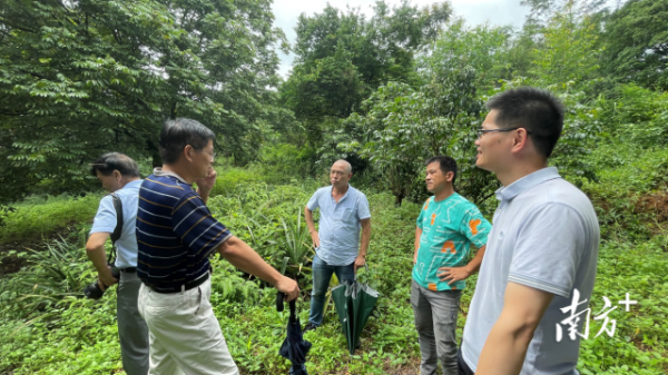 果樹所專家團(tuán)隊到建成農(nóng)業(yè)綜合開發(fā)有限公司產(chǎn)業(yè)園園區(qū)調(diào)研。 
