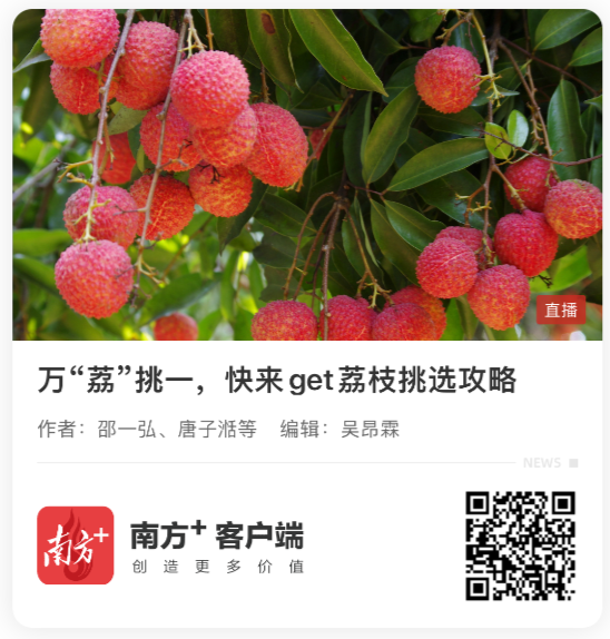 南方日?qǐng)?bào)直播回放鏈接.png