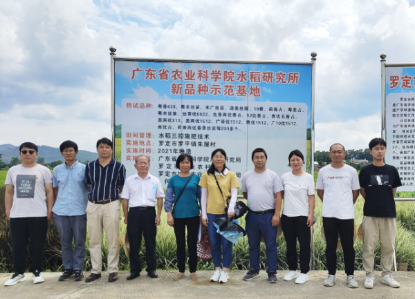 羅定市樺一農(nóng)業(yè)科技有限公司水稻生產(chǎn)試驗基地現(xiàn)場。