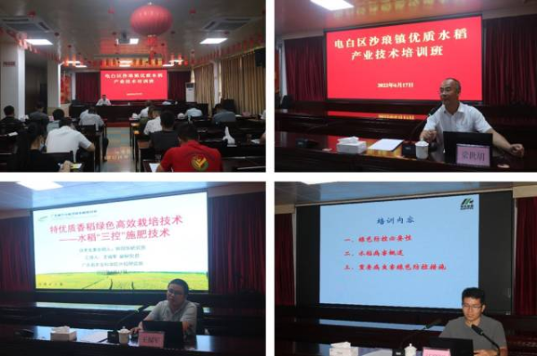 技術培訓會現(xiàn)場。