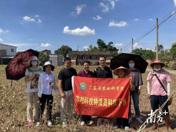 省農(nóng)業(yè)科學(xué)院特派員科技下鄉(xiāng)。通訊員供圖