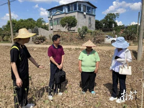 專家團(tuán)隊(duì)指導(dǎo)農(nóng)民如何做災(zāi)后復(fù)耕工作。通訊員供圖