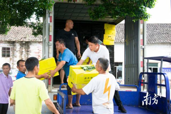 農(nóng)戶從貨車上卸下菜秧 南方農(nóng)村報(bào) 王俊濤 拍攝