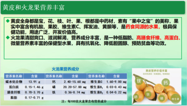 黃皮和火龍果營養(yǎng)價值高