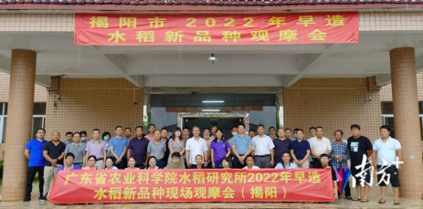 觀摩會現(xiàn)場。省農(nóng)科院供圖
