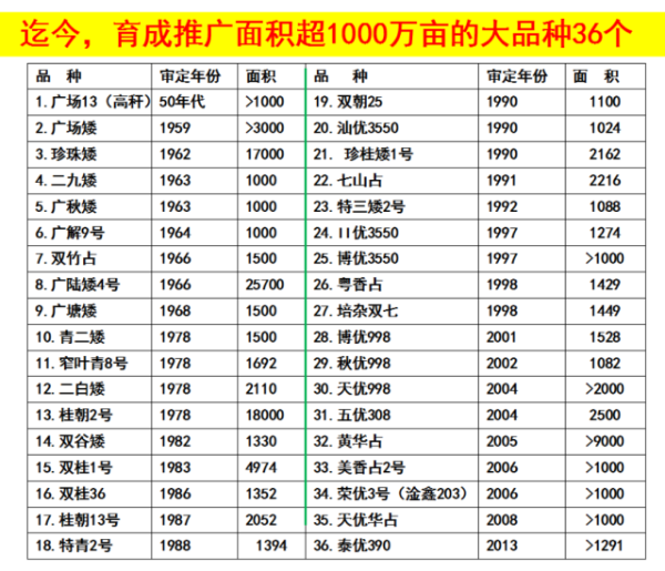 受訪(fǎng)者供圖
