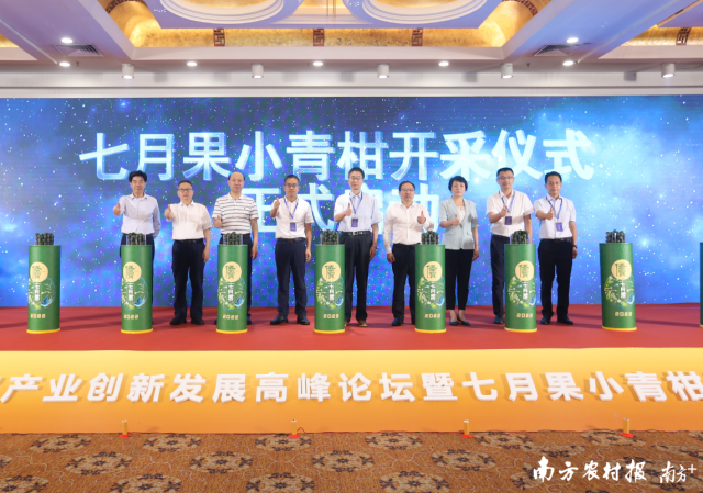 中國工程院院士、中國農(nóng)業(yè)大學(xué)食品科學(xué)與營養(yǎng)工程學(xué)院教授任發(fā)政，中國工程院院士、南昌大學(xué)教授謝明勇，中國工程院院士、湖南省農(nóng)業(yè)科學(xué)院院長單楊，江門市人民政府黨組成員、副市長曹陽，佛山科學(xué)技術(shù)學(xué)院副院長曾新安，江門市農(nóng)業(yè)農(nóng)村局黨組成員、副局長王小麗，江門市新會區(qū)人民政府副區(qū)長吳志斌，江門市新會區(qū)農(nóng)業(yè)農(nóng)村局局長蘇朝榮，廣東麗宮國際酒店管理有限公司總裁、新會陳皮行業(yè)協(xié)會永久榮譽會長區(qū)柏余共同進行七月果小青柑開采儀式。