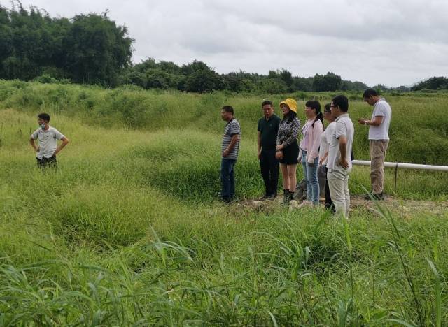 聯(lián)安鎮(zhèn)委余海冰副書記、溫子君隊長、汕尾分院專家和科技特派員團隊在現(xiàn)場考察撂荒地情況。