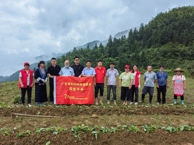 特派員團隊在為村民示范種植