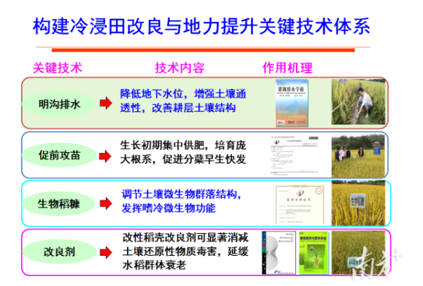 冷浸田治理技術(shù)說明。