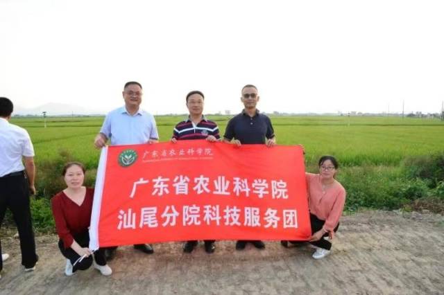 廣東省農(nóng)科院副院長何秀古（后排中）下鄉(xiāng)開展“三農(nóng)”服務(wù)。