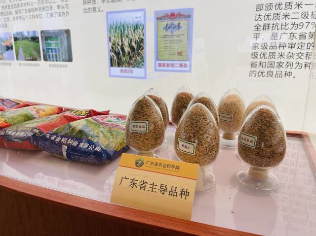 “十三五”以來，廣東省農(nóng)科院農(nóng)業(yè)主導(dǎo)品種、主推技術(shù)在廣東分別占比63.5%和70.2%