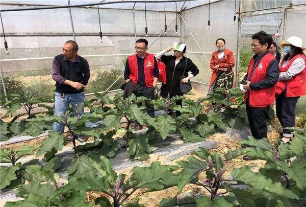 清遠分院駐點人員前往佛岡縣開展科技志愿服務(wù)。