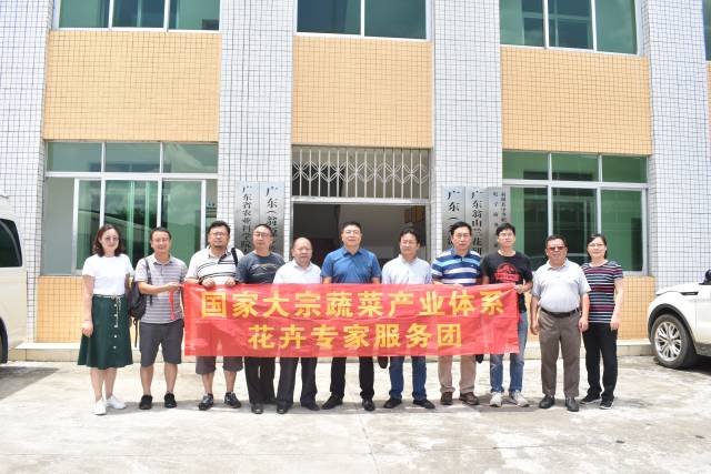國家大宗蔬菜體系花卉專家服務團隊