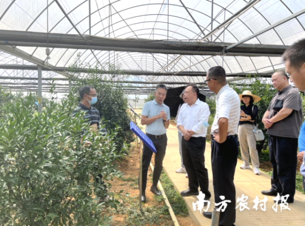 廣東省農業(yè)科學院黨委書記廖森泰一行赴新會區(qū)調研。