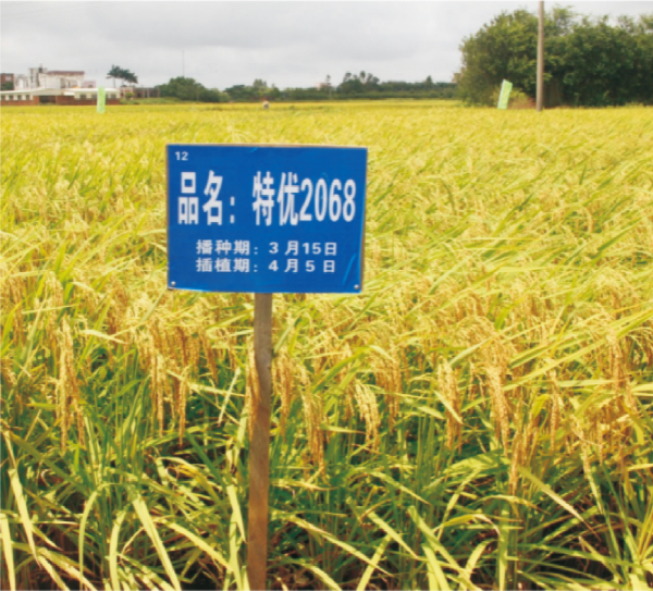 29-特優(yōu)2068.jpg