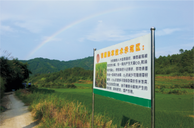 有機(jī)稻栽培技術(shù).jpg