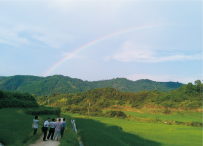 有機(jī)水稻栽培技術(shù)2.jpg