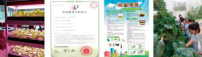 蔬菜景觀規(guī)劃、設(shè)計與管理 (2).jpg