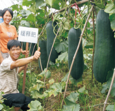 蔬菜高效施肥技術(shù).jpg