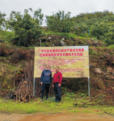 柑橘主要病蟲害綜合治理綠色防控技術(shù).jpg