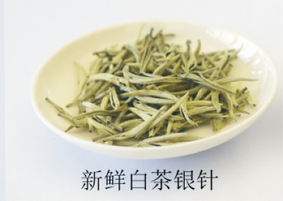 白茶加工技術(shù) (1).jpg