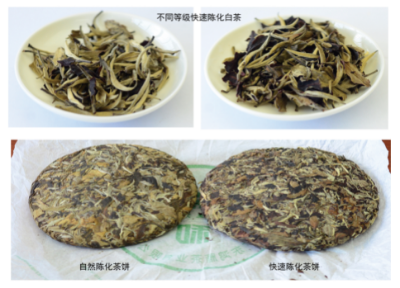 茶葉快速陳化（醇化）技術(shù).jpg