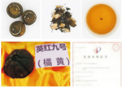 柑橘類茶加工技術(shù).jpg