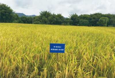 稻田面源污染綜合防控技術(shù).jpg