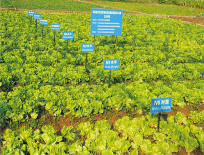 菜地溫室氣體減排技術(shù).jpg