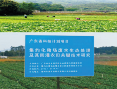 畜禽養(yǎng)殖廢水生物-生態(tài)處理及資源化綜合利用技術(shù) (2).jpg