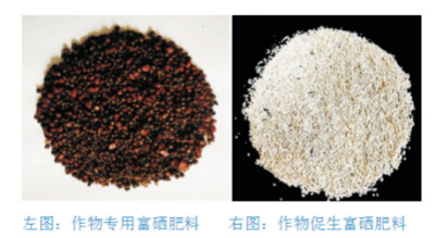 增效富硒肥料生產(chǎn)技術(shù).jpg