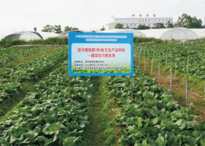 蔬菜控污配方肥及其應(yīng)用技術(shù).jpg