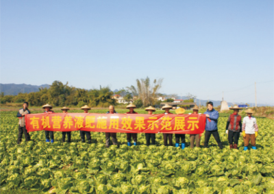 有機(jī)營(yíng)養(yǎng)液肥高效使用技術(shù).jpg