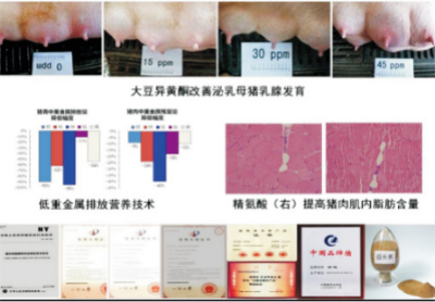 豬健康養(yǎng)殖關(guān)鍵營(yíng)養(yǎng)技術(shù).jpg
