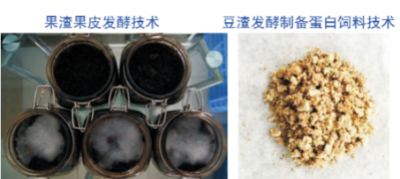 廢棄物飼料化利用技術(shù).jpg