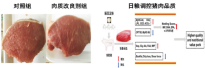 肉品質(zhì)量安全綠色提升及評(píng)價(jià)技術(shù).jpg