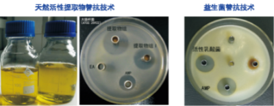 綠色安全替抗技術(shù).jpg