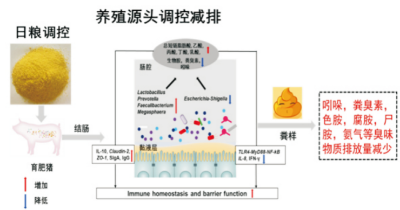臭氣減排和糞污處理技術(shù) (2).jpg