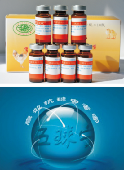 雞球蟲病的綜合防控技術(shù).jpg